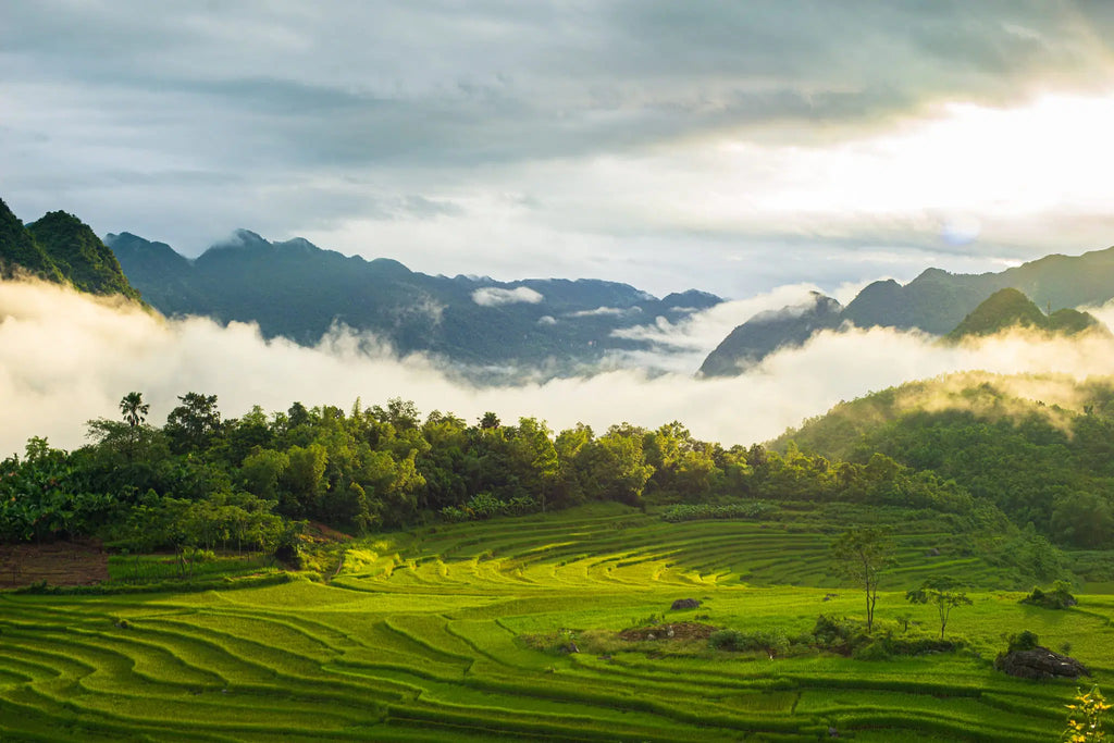 Norte do Vietnã com Mai Chau