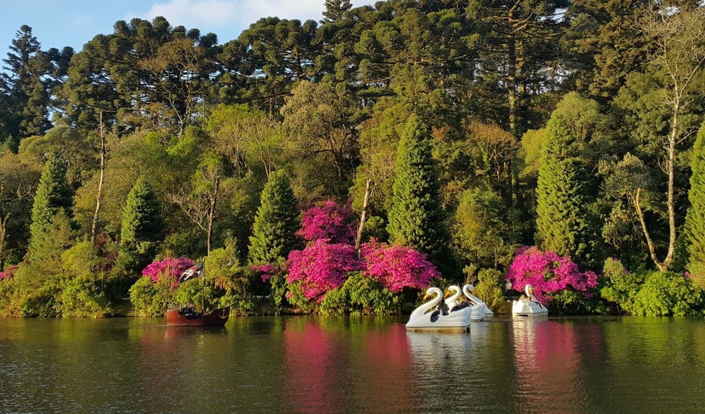 Gramado com Mundo Criamigos
