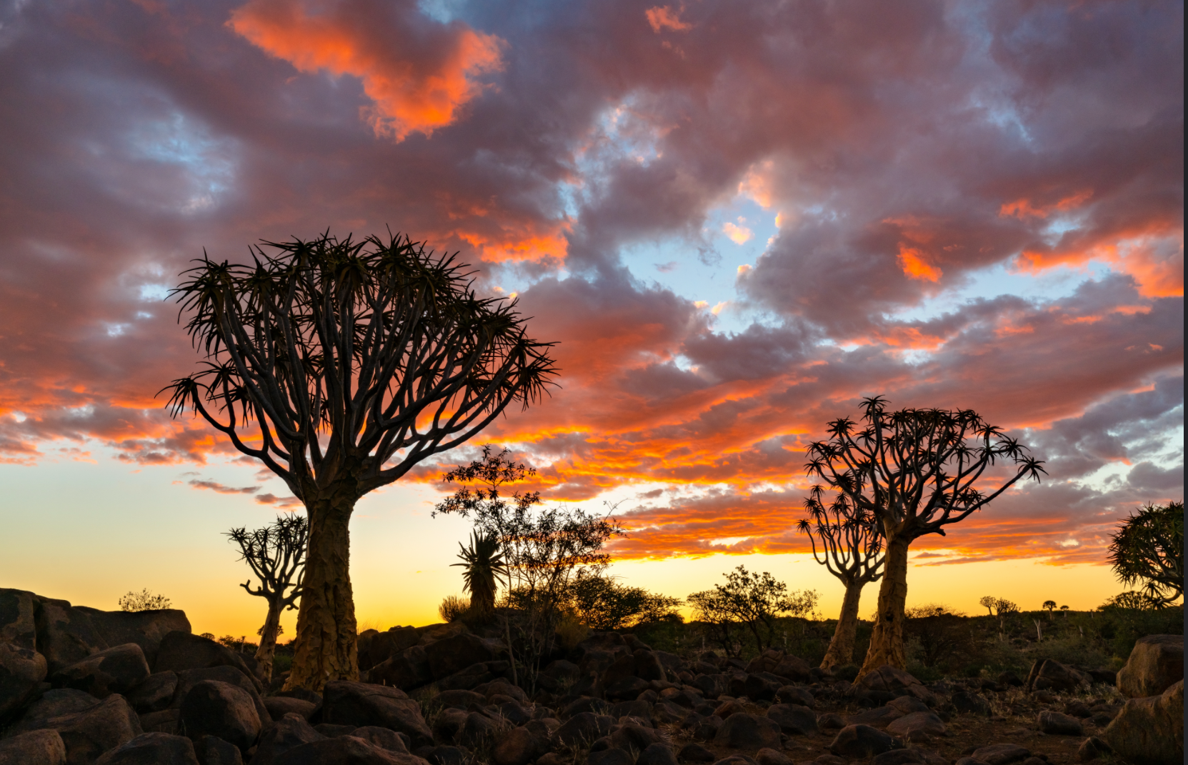 África do Sul - Karongwe