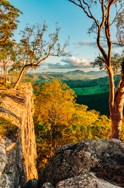 África Austral - Zimbábue & África do Sul