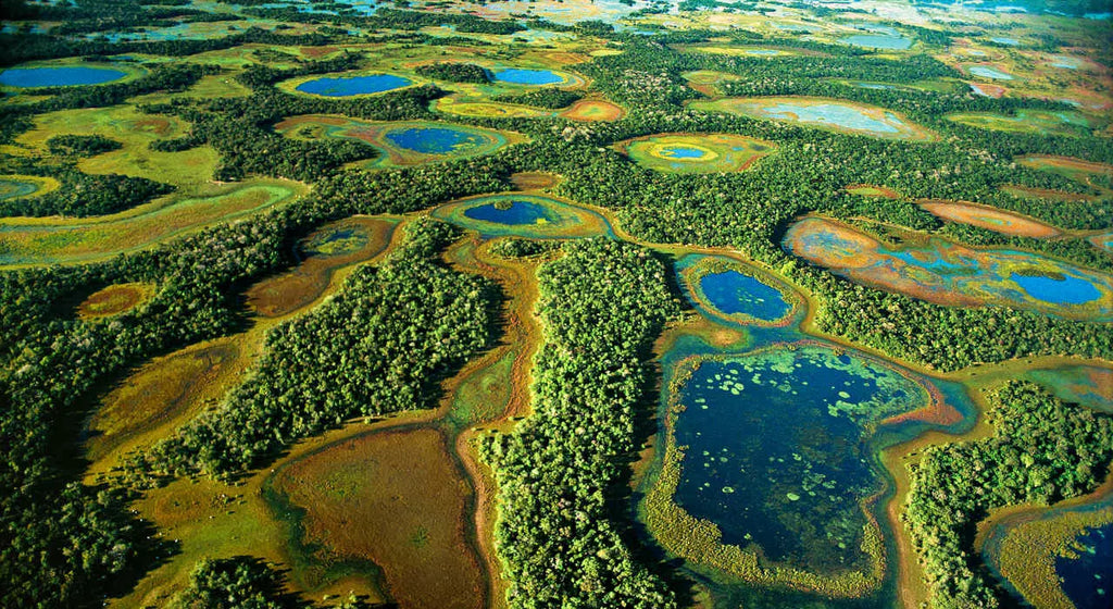 Pantanal Sul