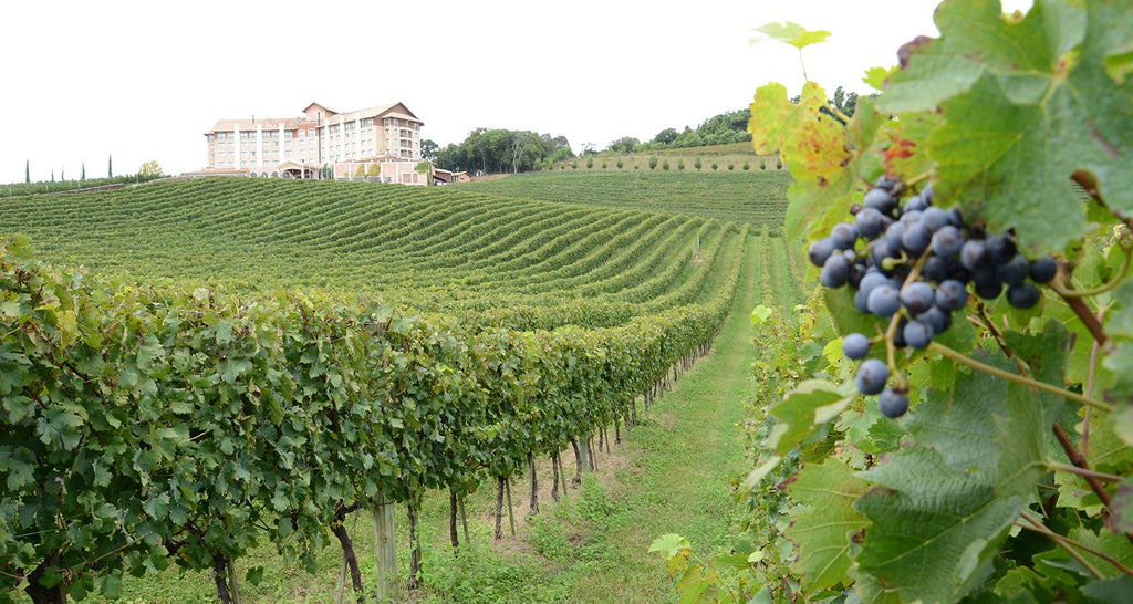 Melhores Atrações de Gramado