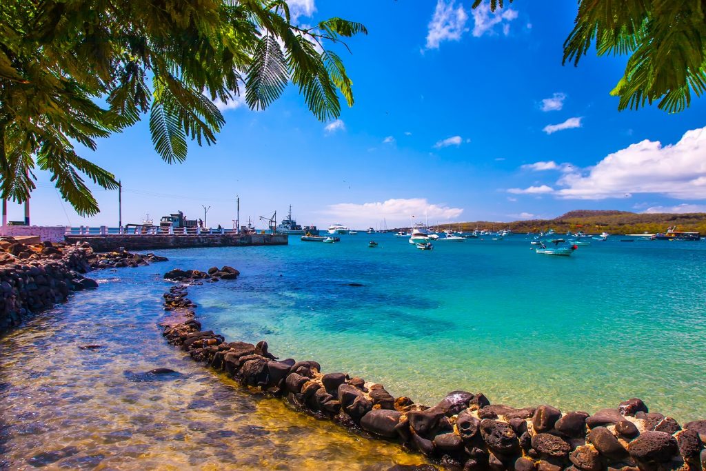 Ilha de Santa Cruz