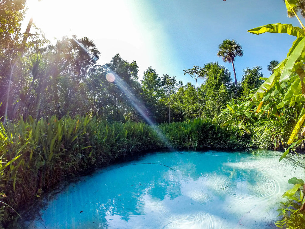 Jalapão Caminho das Águas