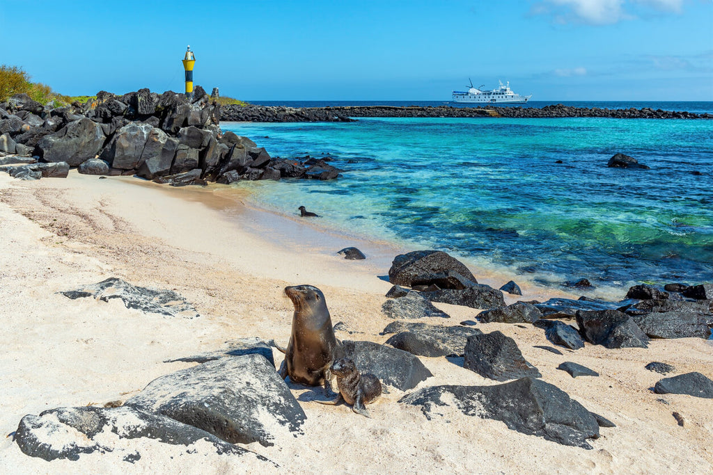 Ilha de Santa Cruz