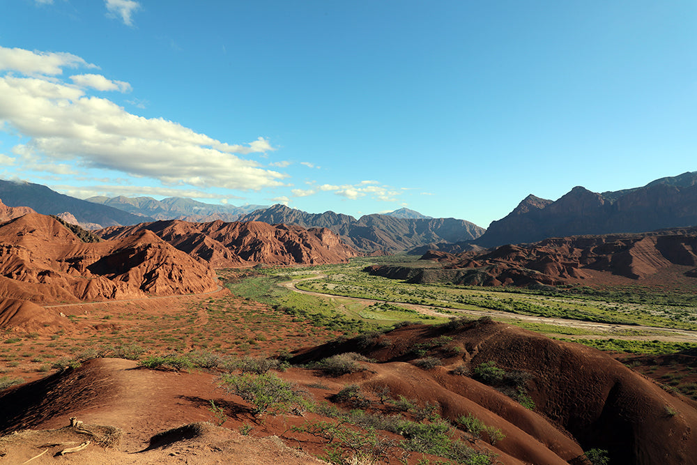 Salta e Cafayate