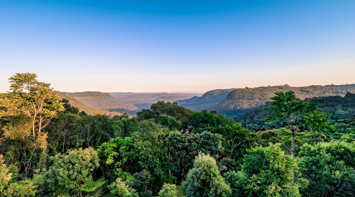 Gramado com Mundo Criamigos
