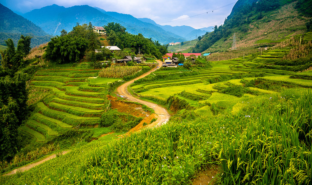 Vietnã & tour de Sapa
