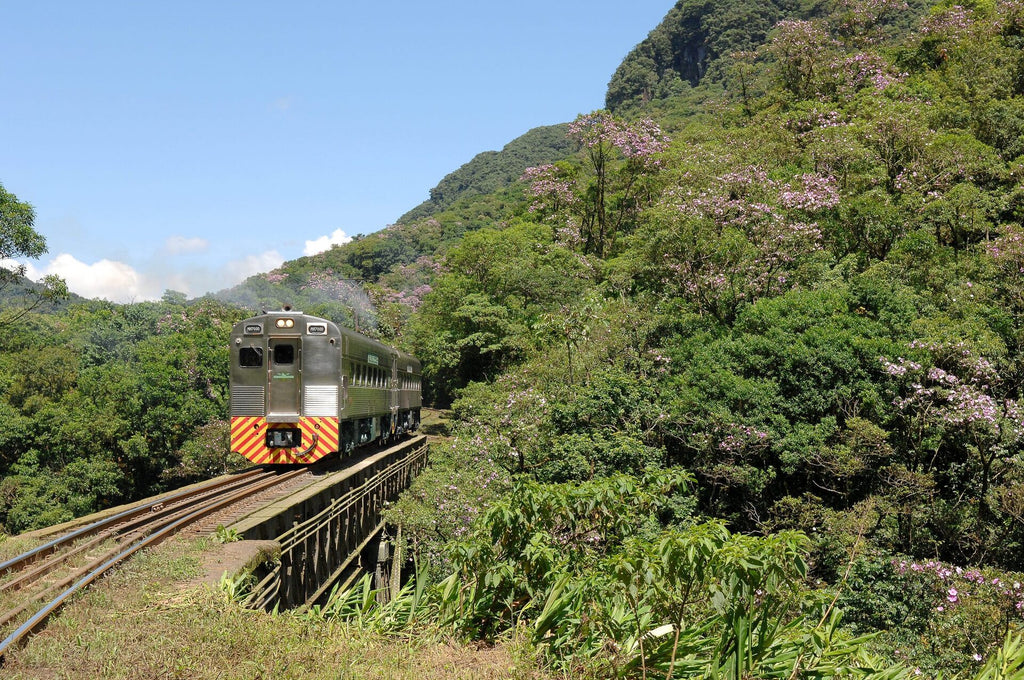 Curitiba com Trem pela Serra do Mar e Ilha do Mel