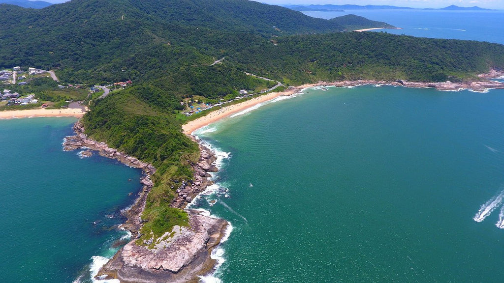 Balneário Camboriú Básico